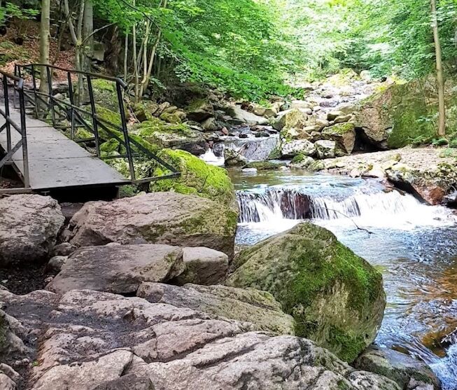 © Bildquelle? © Bildquelle?