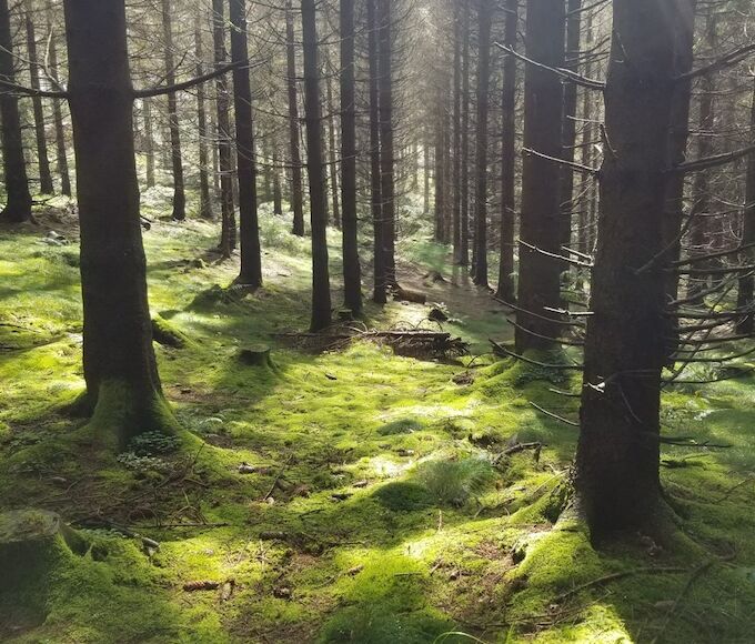 © Bildquelle? © Bildquelle?